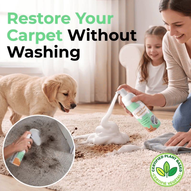 sweetce® No-Rinse Carpet & Upholstery Stain Remover with Towel